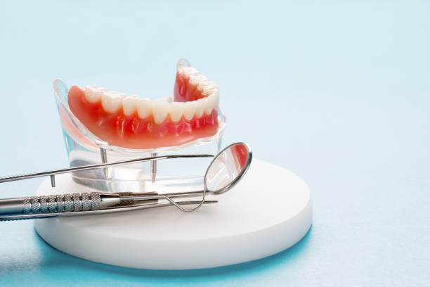  Western Springs, IL Holistic Dental Services Pros